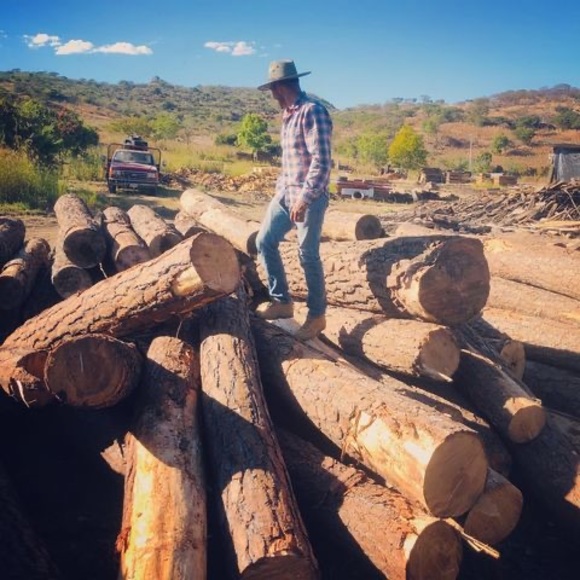 Meet your Posher, Luis - Picture 1 of 1